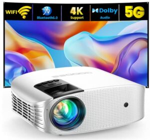 Projector