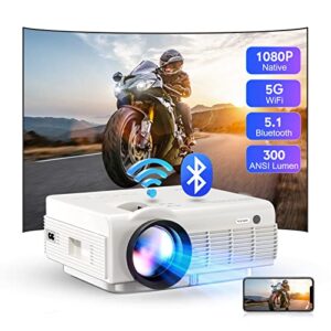Projector