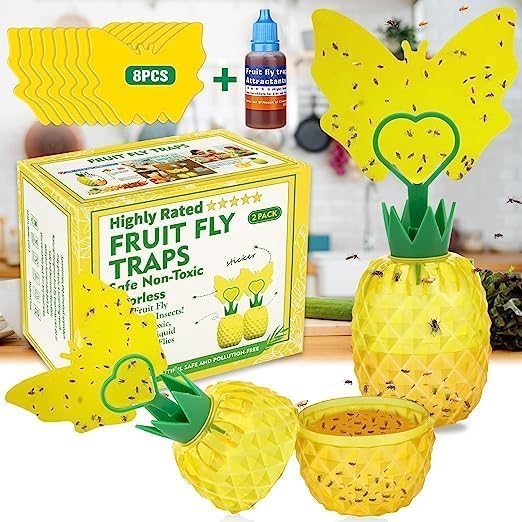 Fruit Fly Trap for Indoors