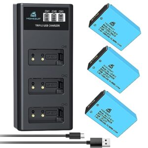 Homesuit LP-E17 Replacement Batteries 1400mAh and USB Charger Compatible with Canon EOS R10