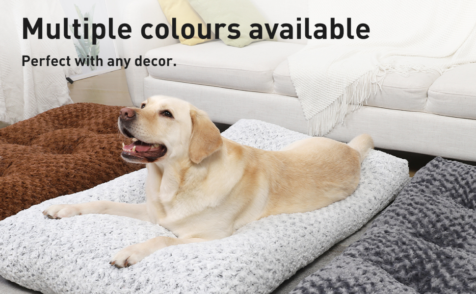 dog crate bed