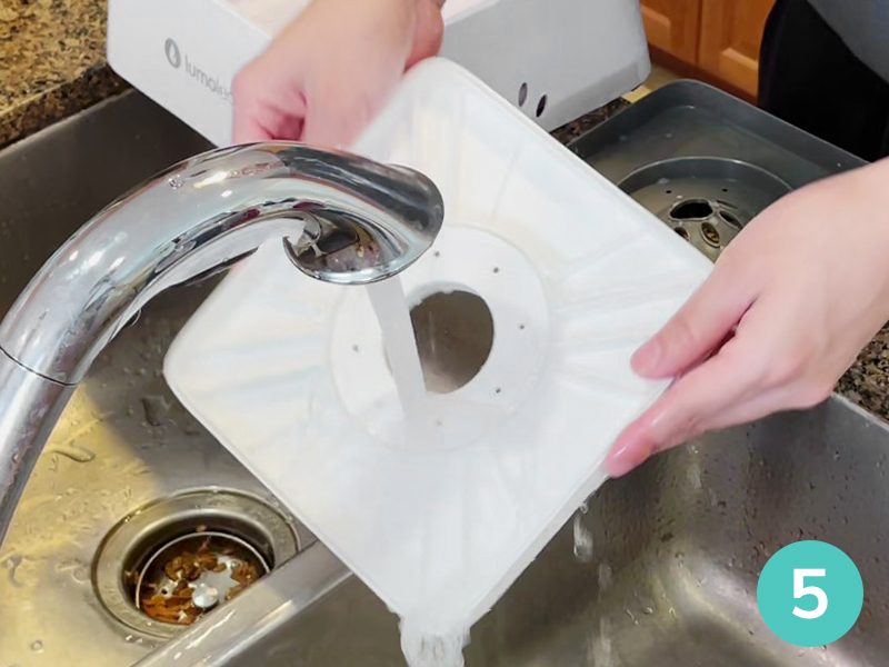 dog water bowl no spill