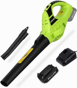 Bigzzia Cordless Leaf Blower Electric Garden Blower with 20V Battery 1 Charger 2-Speed Modes 2 Detachable Tubes