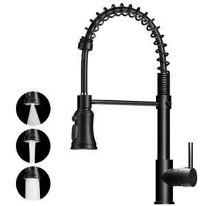 ZHZIRO Kitchen Tap