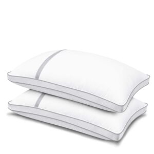 BedStory 2 Pack Sleeping Pillows
