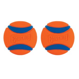 ChuckIt! Ultra Ball Dog Toy