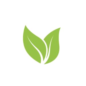 Soft Bamboo Toilet Roll Bulk Buy