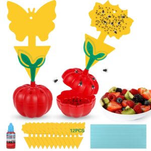 Fruit Fly Trap