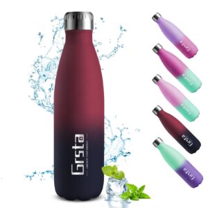 Stainless Steel Insulated Water Bottle 500ml