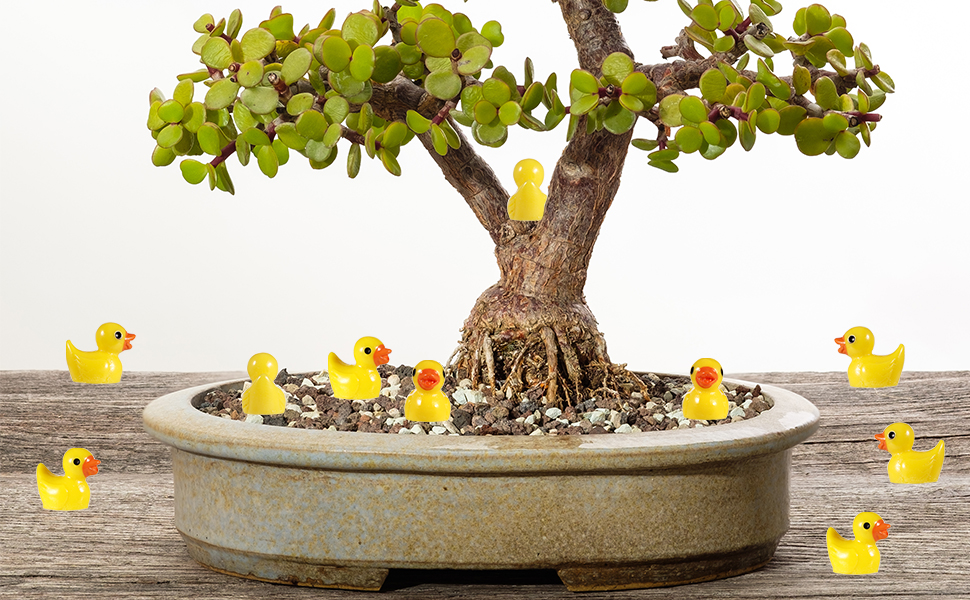 Mini Resin Ducks