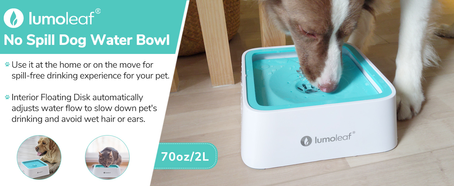 no spill water bowl for dogs