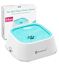 No Spill Pet Water Bowl 