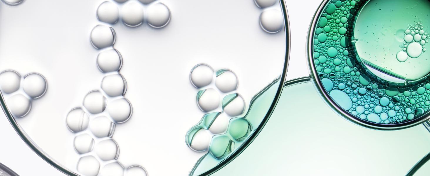 A combination of targeted ingredients for your scalp