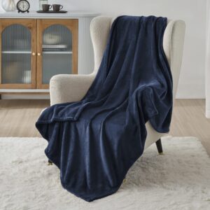 Bedsure Fleece Blanket Sofa Throw - Versatile Blanket Fluffy Soft Throw for Bed and Couch Twin/Double