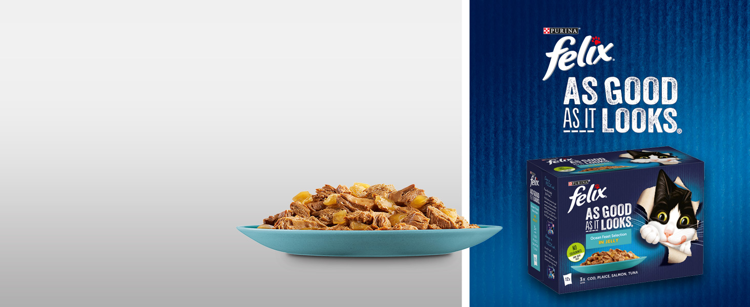 irrisistably tasty; AGAIL; purina; felix