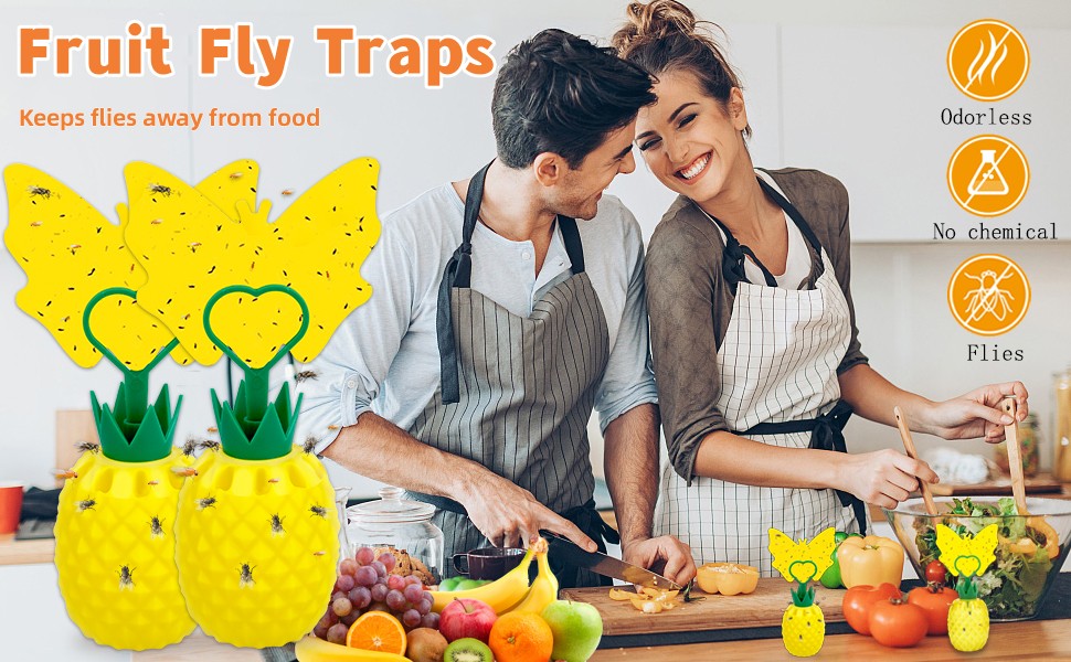 fruit fly trap