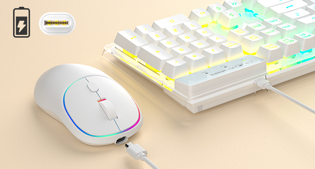 Type-C Charging Cable