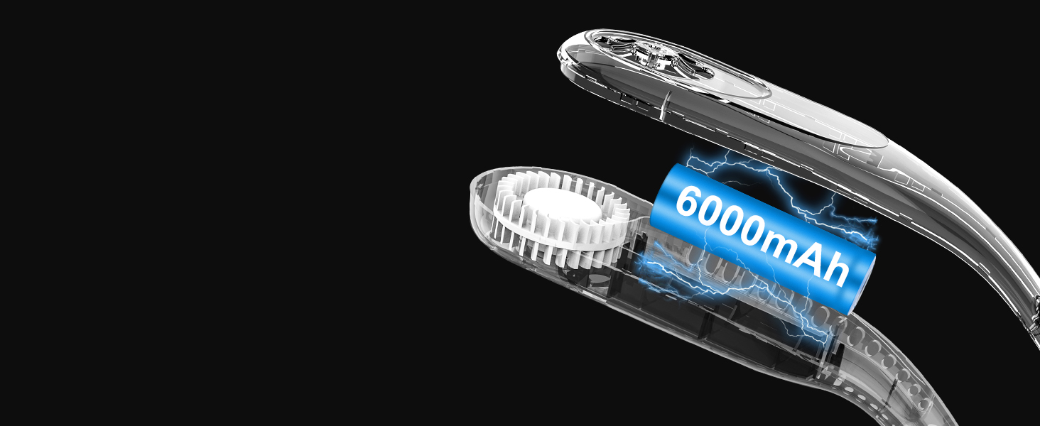 Large Capacity Battery