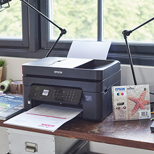 epson ink, starfish, four-colour ink, genuine epson ink, genuine ink, cartridges, paper