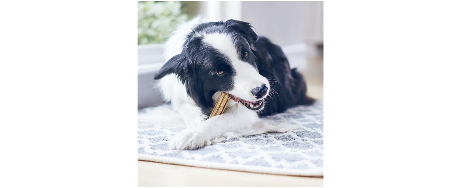 Purina dentalife dog chew clean teeth 