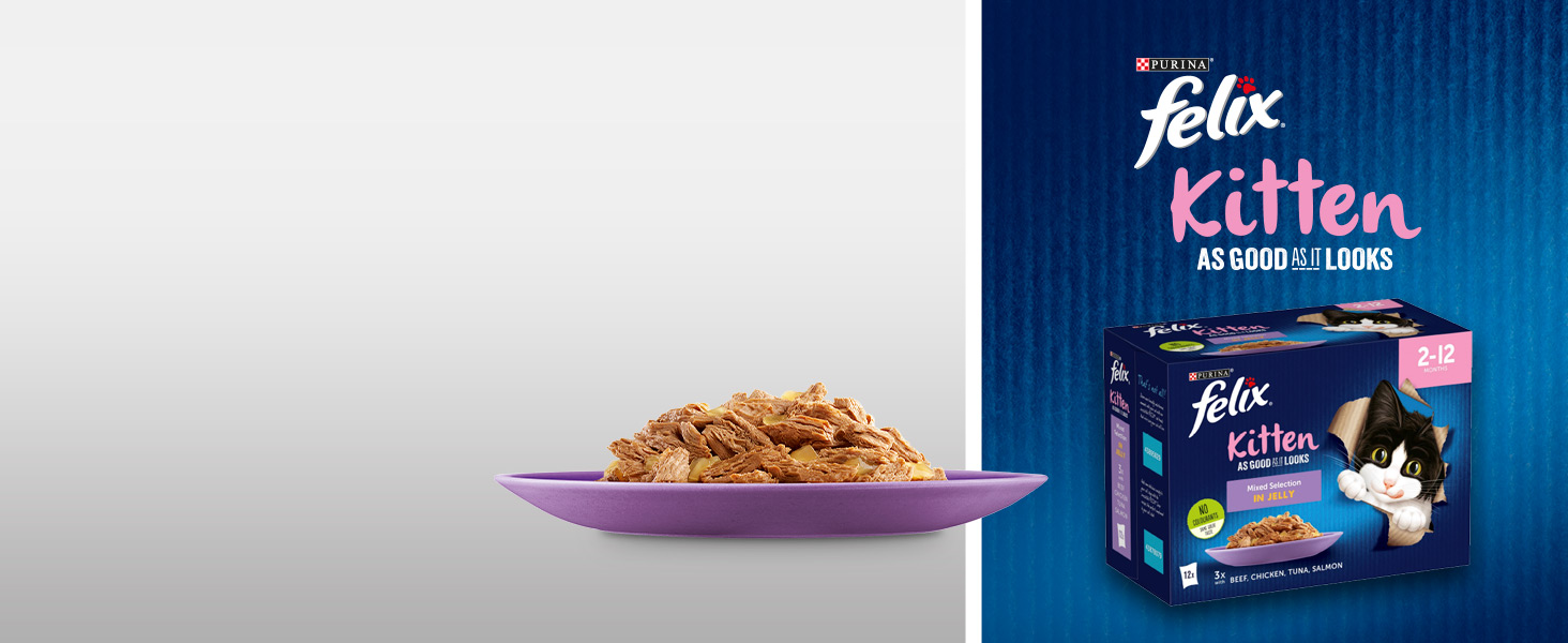 irrisistably tasty; AGAIL; purina; felix; kitten