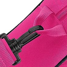 dance BaG