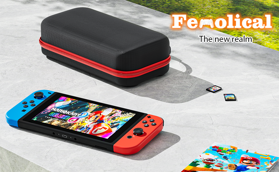 nintendo switch travel case