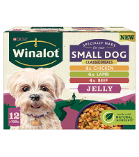 Small dog