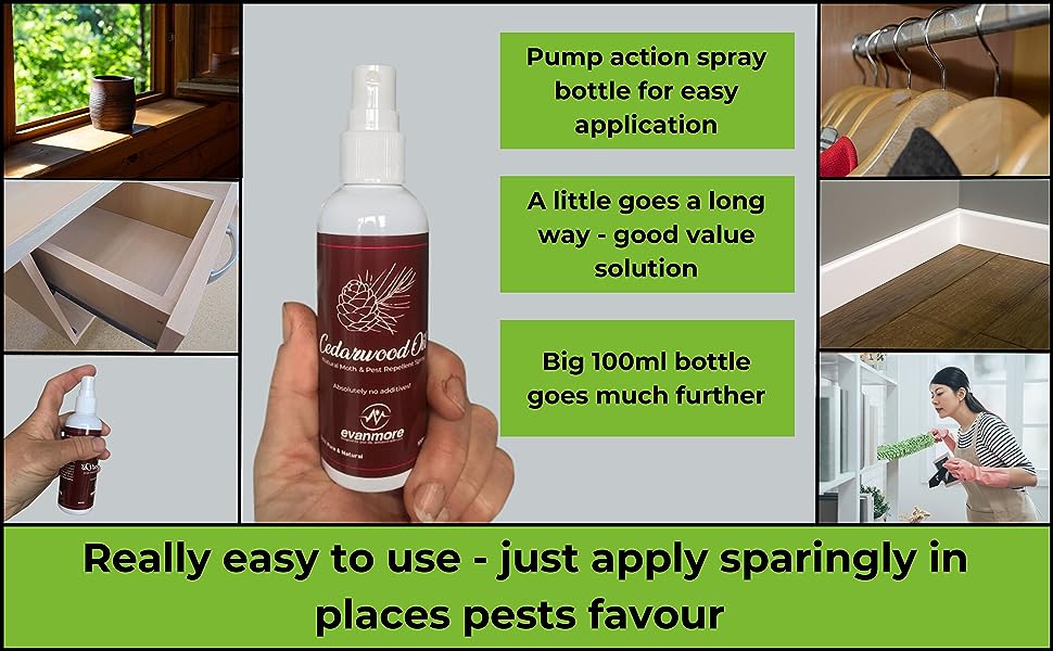 cedarwoos no more holes pest list banner