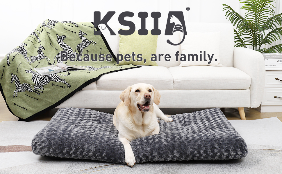 dog bed