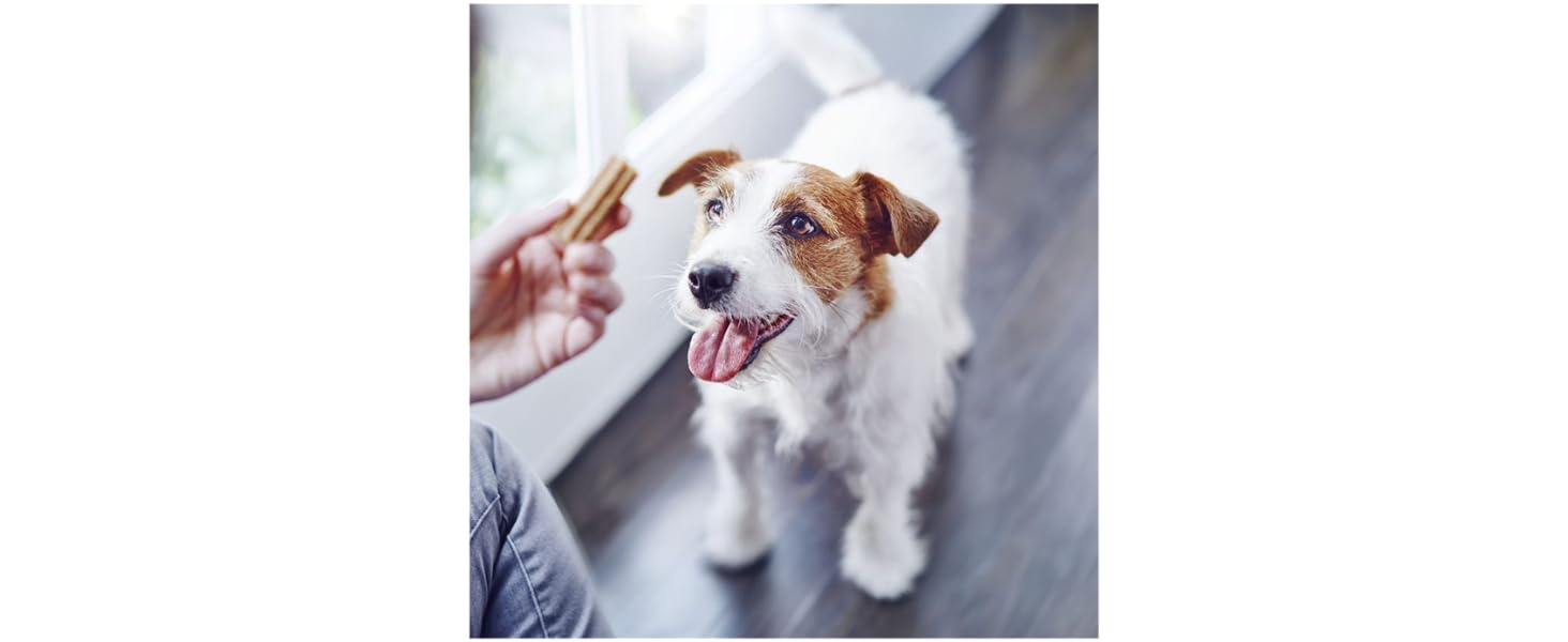 Purina dentalife small dog chew dental care teeth