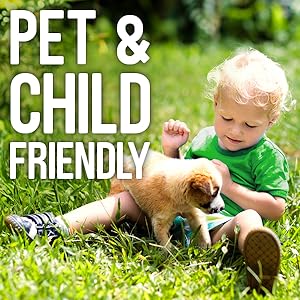 Pet & Child Friendly