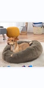 dog bed