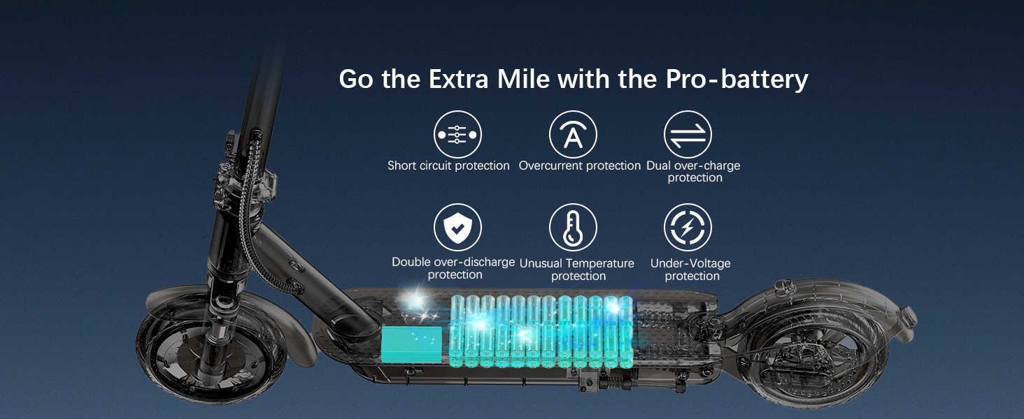 Professional Battery