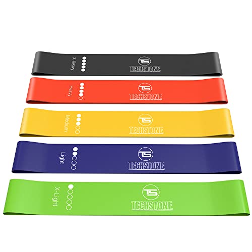 TechStone Resistance Bands Set for Men and Women