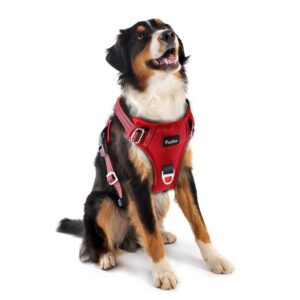 Funfox Dog Harness No Pull Pet Harness