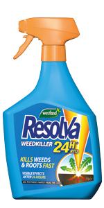 resolva 24h