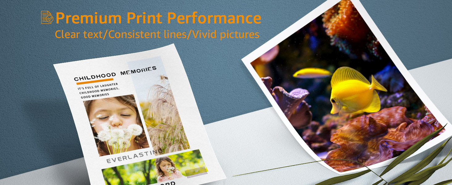 ColorKing Compatible for Brother LC421VAL LC421 421 Multipack Ink Cartridges Replacement for Brother