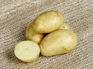 Patch Seed: Autumn Planting