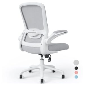 Farini Office Chair 90Flip-up Armrest Desk Chair Lumbar Support Ergonomic Computer Chair
