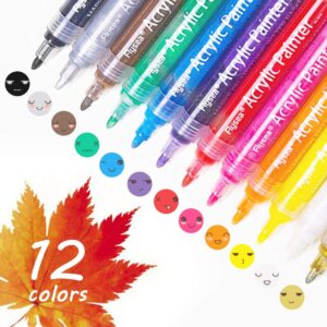 Acrylic Paint Marker Pens Set of 12 Colors for Rock Painting