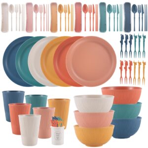 Dyserbuy 60pcs Plates and Bowls Set