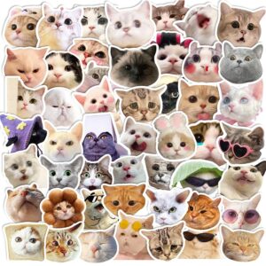 50Pcs Cute Cat Stickers for Kids