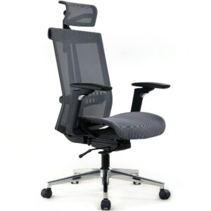 Realm of Thrones COMMODORE AIR Ergonomic Mesh Office Chair with 4D Armrests