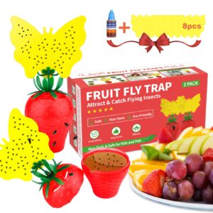Fruit Traps for Indoors