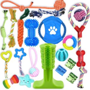 Leipple 20 Pack Dog Chew Toys for Puppy