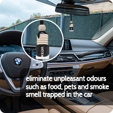 car air fresheners hanging pendant