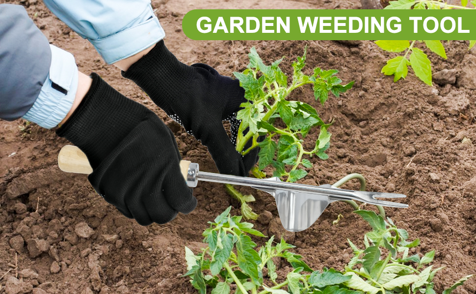 Weeder Tool