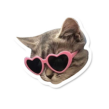 cat stickers