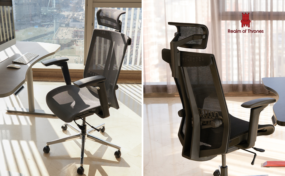 Realm of Thrones Commodore Ergonomic Office Chair Adjustable Lumbar Support